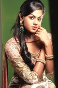 Actress Karthika Nair Hot Photos
