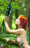 Stormyent - Fae in the Forest -24eted6q2h.jpg