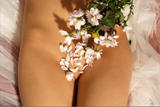 Mikhaila - Bodyscape: Summer Bouquet00n555dt2g.jpg